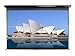 Elite Screens - Elite Manual Series M100XWH
