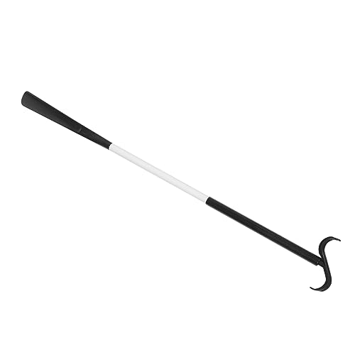 Beavorty Dressing and Shoe Assisting Device Disabled Shoe Horn Dressing Pole Shoe Stick Helper Handicapped Shoehorn Elderly Shoe Helper Elderly Disabled Shoehorn Wearing Assist Tool Abs