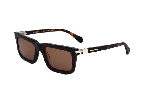 Sunglasses SF 2015 S 242 Dark Tortoise