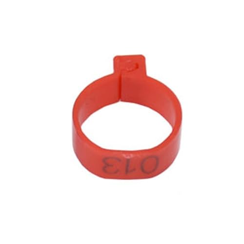 Anillo de marcado digital de 25 mm para pollos y gansos en lote de equipo para cría