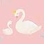 13 - Swans