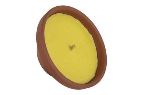 Vela - Vela aromática de citronela en Recipiente de Terracota, 300 g, Ideal para ahuyentar Insectos, con Fragancia Natural y Elegante diseño.