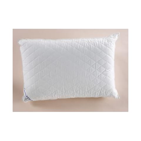 Charlotte Andersen Quilted Medium Support Pillows Cover