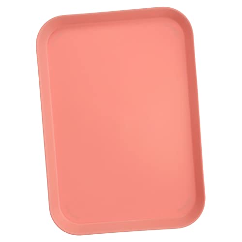 Mikikit Crawling Pet Food Basin Large Reptile Water Dish for Tortoise and Lizards Durable Terrarium Accessories Non Slip Feeding Bowl for Healthy Habitat