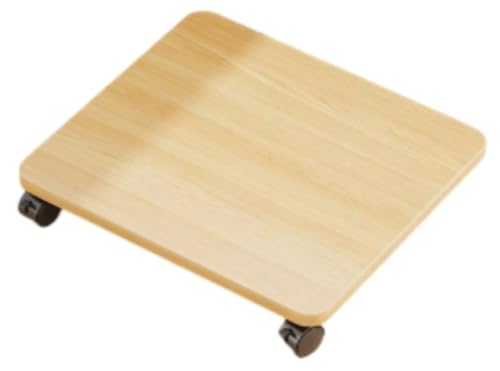 EVREFINLX^[ẗړJ[gAhA͂ȑω׏dAdAƋAA̗AɎgpAƒItBXł̎gpɓKĂ܂B (40*45*6.2,i`)