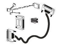 Kit de câbles Ultra SCSI2 50 broches Upg 1Drive