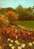 New Illustrated Encyclopedia of Gardening-vol.6