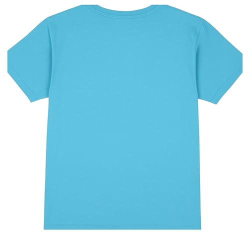 Mad Engine Girls Sonic The Hedgehog Graphic Short Sleeve T-Shirt Featuring Sonic & Amy- Sizes XS-XL2