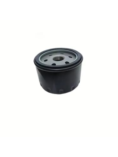 Filtre à huile entretien vidange moto QJ350T-2D FORT350