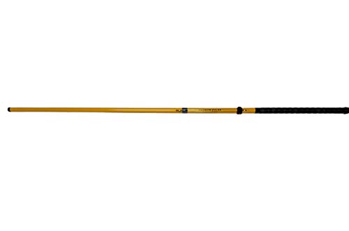 DGP 11-Foot Special, 3 pc, Telescopic Fishing Pole | Comes with Internal Drag System Inside The Pole, line Caddy, and Fishing line