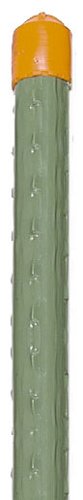 Preisvergleich Produktbild Pflanzstab 61112 11x1200 mm hellgrüne Kappe