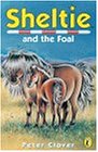Preisvergleich Produktbild Sheltie And the Foal