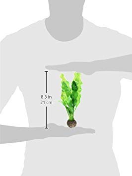Biorb 46055 Easy Plant Pack, Small thumb #1