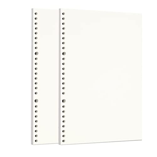 Zelten 2 Paquetes B5 120 Hojas/240 Páginas Papel Perforado de Hoja Suelta Recambios de Papel para la Carpeta de 26 Agujeros Organizador Personal Cuaderno de Diario Rellenable Planificador