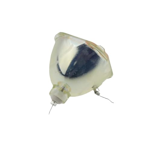 Ampoule nue ET-LAB80 pour projecteur Panasonic PT-LB78E PT-LB78U PT-LB75E
