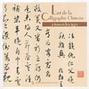 Calligraphie chinoise à travers les âges, cadeau culturel idéal pour passionnés d'Asie