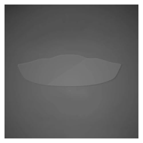 I[goCNX^[XN[یtB XYLp SV650p V-stromp 650 1000 DL650 DL1000 GSX-S1000p Xs[h[^[K[h h~ NX^[XN[یtB veN^[ I[goCXs[h[^