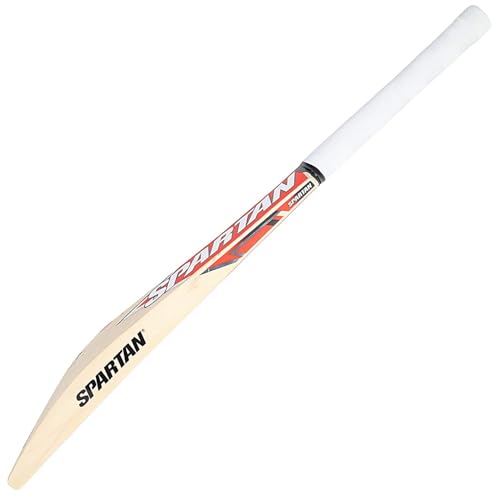 Image of Pro Play Cricket Bat Popular WillowFull Size with Bat Cover Play for Rubber Ball | Tennis Ball | Plastic Ball (SPARTAIN)