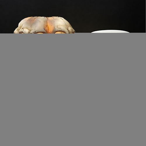 Lampe à crâne d'Halloween avec 4 têtes en résine et effet 3D - 3
