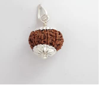 QUEEN-GEMS Natural 9 Mukhi Rudraksha Original Certified Nepali Rudraksha Blessings with Goddess Nav Durga Nine Face Rudraksh for Men & Women