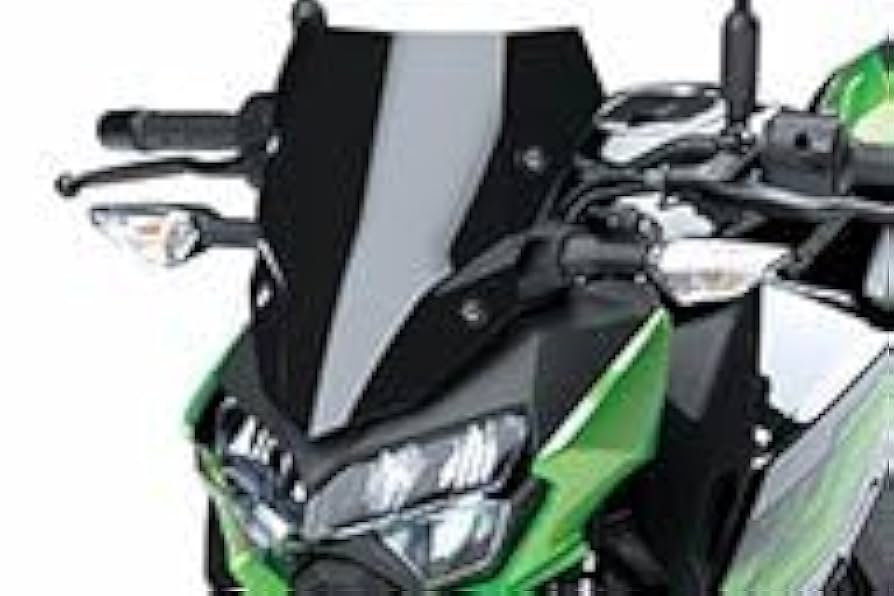 Amazon | Kawasaki 2024年 Z400 ラージメーターカバー 999941128