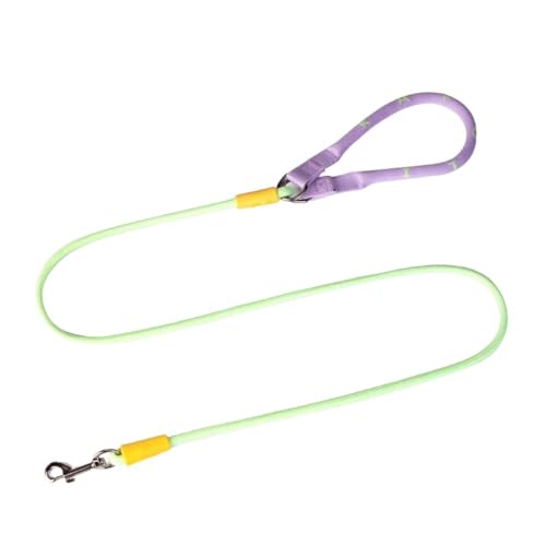 Vilom 犬用リード 虹色デザイン 中小型犬用 散歩用 軽量 通気性素材 ビション・トイプードル・チワワなど適用 丈夫で耐久性あり おしゃれペット用牽引ロープ (グリーン)