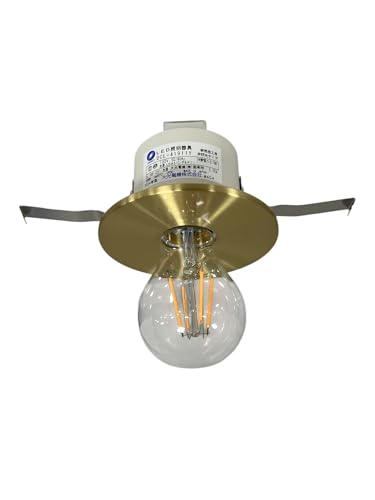 Amazon | 大光電機 DAIKO LED小型シーリングライト 埋込穴φ75