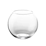 Aquário Redondo 5 Litros Terrário Vidro Grosso Decoração Enfeite Casa