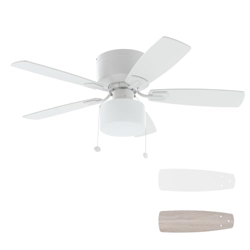 FANSHAIN 42 Inch Ceiling Fan