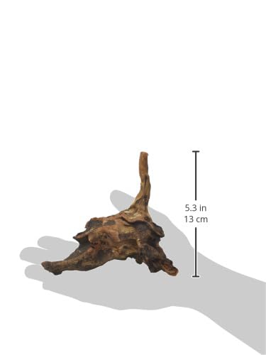 Amtra Legno Mystic Wood Decoración de Acuario Natural, para Acuarios, Paludarios y Terrarios, 15-20 cm