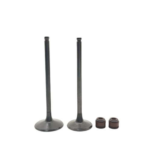 Junta de aceite para válvula NC250SR kit de retenes admisión escape motor Zs177mm-B MX250