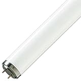 philips uva 100w cleo performance Lampe mit internem Reflektor (200 Grad)