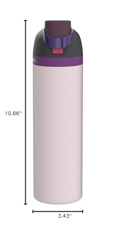 Image of Owala FreeSip Insulated Stainless Steel Water Bottle with Straw for Sports, Travel, and School BPA-Free Sports Water Bottle, 32 oz, Dreamy Field
