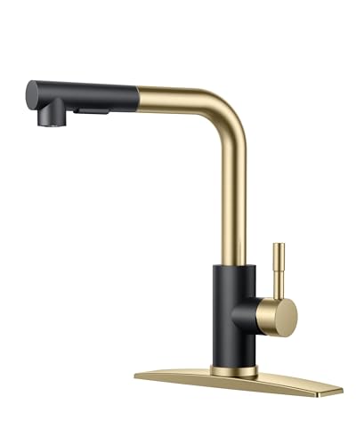 Image of FORIOUS Kitchen Faucets with Pull Out Sprayer, Single Handle, Black Gold