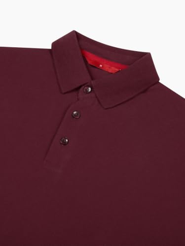 Image of LUDIC Core Polo T-Shirt, Dailymove Collection | Regular Fit | Stand-up Collars | 100% Organic Cotton, 240 GSM | Lightweight & Comfortable |Everyday Essential | Polo T-Shirt for Men