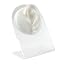 1pc White Left Ear