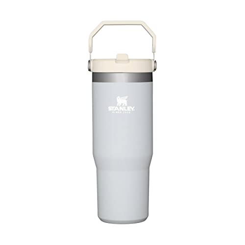 STANLEY Classic The IceFlow Flip Straw Tumbler 30OZ Cloud, 1 ea