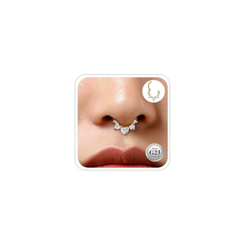 ESHIONER G23 Titan Septum Piercing Daith Nasenringe Gold Zirkon Clicker Ring Niedlich Klein Segment Clicker 8MM 16G Daith Piercing Schmuck für Damen Herren