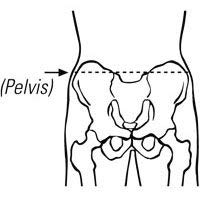 BORT 109100 Non Elastic Hernia Truss, Hip Belt with 50cm Long Spring with Spring Steel, Compression Controlled Pressure, Round Hernia Pad, from Germany, Orthopedic (105cm, 40.6??–?42.5 inches, Right)
