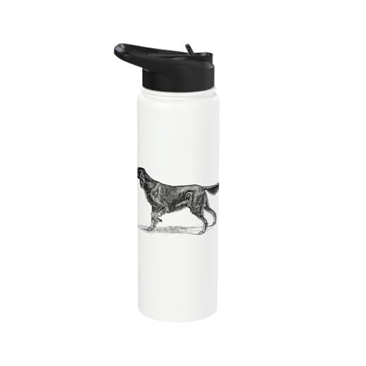 Gordon Setter Dog Lover Gordon Setter Owner Vintage Dog Stainless Steel Insulated Water Bottle