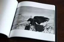 Amazon.co.jp: 鴉深瀬昌久 写真集 SOLITUDE OF RAVENS1000部版