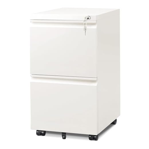 DEVAISE 2-Drawer Mobile File Cabinet with Lock, Commercial Vertical Cabinet, White