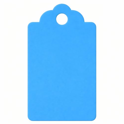 Image of CVANU 100pcs Premium Color Tag Blank Hanging with Pre-Punched Hole Tags for DIY Crafts, Gift Wrapping, Labelling & Writable Decorative Tags for All Occasions (2.85in X 1.7in) Light Blue1
