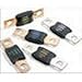 BK/AMG-100, Fuse Automotive 100A 32V 2-Pin Bolt (2 Items)