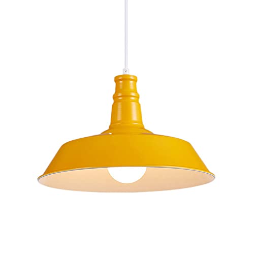 Lámpara de hierro creativa RLKHXBS con acabados artesanales estilo vintage industrial de techo