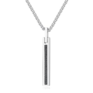 COAI CZ Paved Simple Bar Stainless Steel Necklace for Men Silver/Gold, 20-24″ Box Chain Necklace
