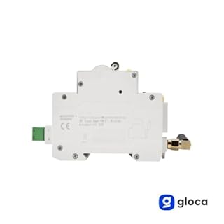 gloca Interruttore Magnetotermico Wi-Fi Smart Con App Tuya Smart Riarmo Automatico Tramite APP 3M 2P 32A 220V