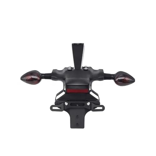 Fixation plaque et garde-boue moto contre vibrations YZF R6 - 3