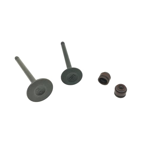 Sello de aceite de vástago de admisión para JOG100 y ZY100 kit de motor de 100cc