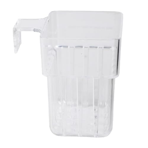 Tasse plante aquarium transparente pour décor aquaponique suspendu - 2